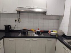 Emerald Park (D3), Condominium #481326091